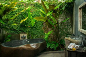 De Moksha Resort – 1 bedroom Villa with Pool, Private, 2 persons