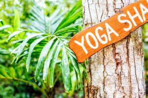 yoga-retreats-in-mexico-tejomaia-post