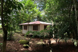 Rancho Rana Roja, Costa Rica—Private – Cabin